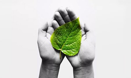 The State Environmental Protection Department Highly Appraised Our Environmental Protection Work.