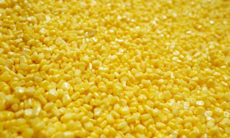 Premium Wholesale Golden Sweet Corn Supply Solutions