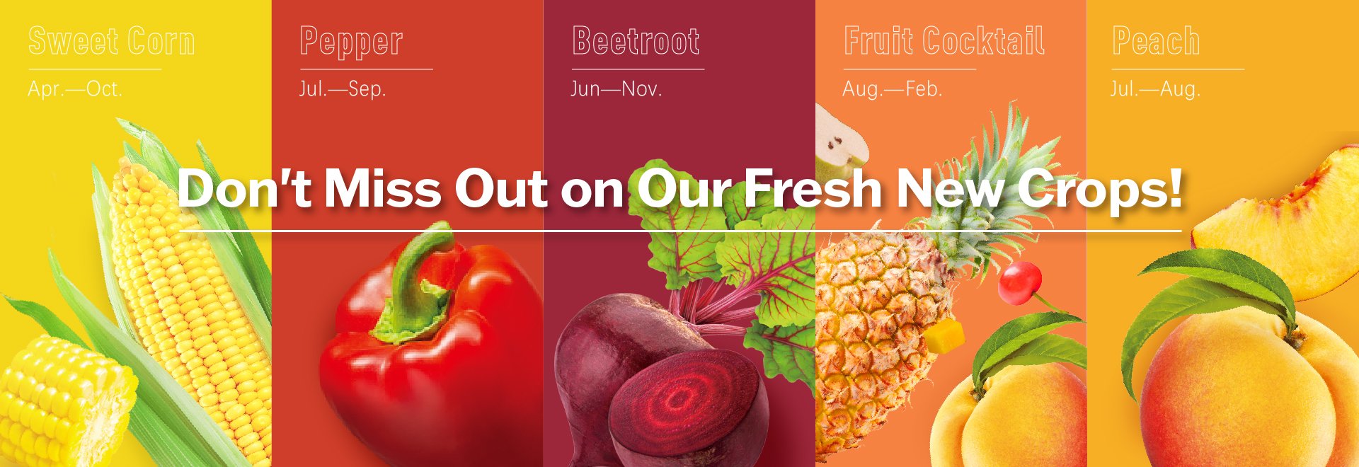 Don't Miss Out on Our Fresh New Crops!  