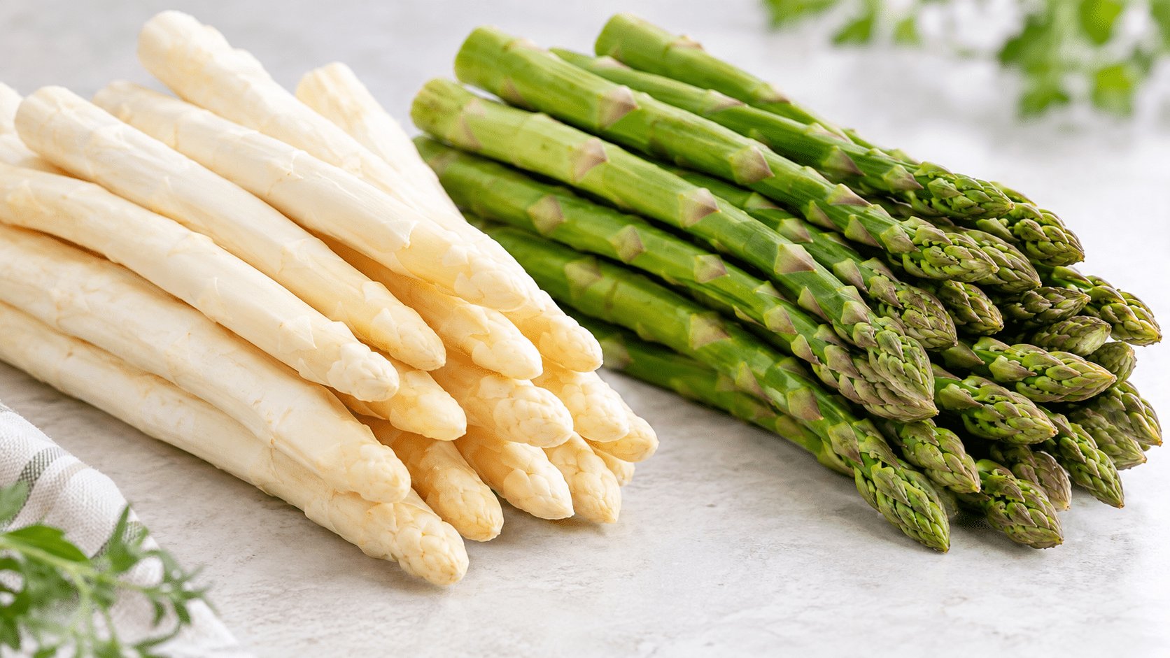 White and green canned asparagus spears comparison