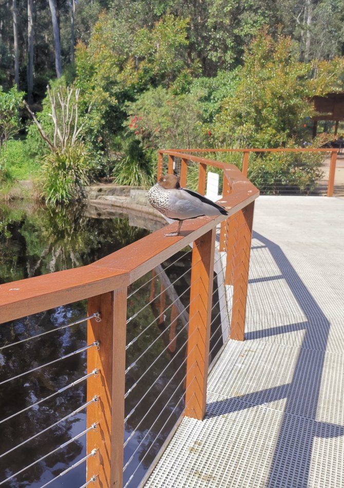 CABLE RAILING SYSTEM FOR WOOD FRAME