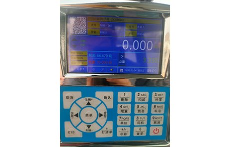 Electronic Metering System