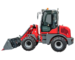 Telescopic Loader
