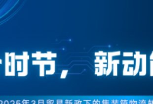 ​春分时节，新动能启航——2025年3月贸易新政下的集装箱物流转型之路