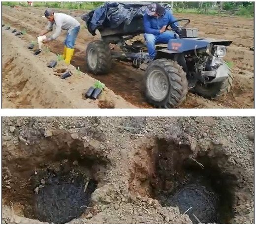 Real-world examples of water conservation success stories Real-world examples of water conservation success stories