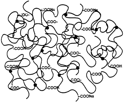 super absorbing polymer consists of a set of polymeric chains super absorbing polymer consists of a set of polymeric chains