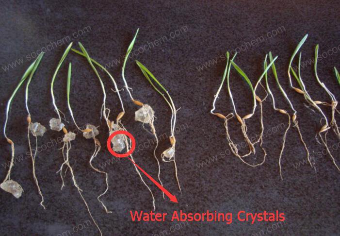water absorbing crystals water absorbing crystals