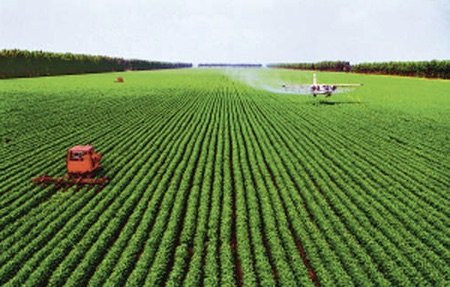 hydrogel for large-scale agriculture hydrogel for large-scale agriculture