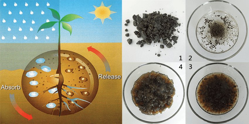 high water absorption of humate soil conditioner high water absorption of humate soil conditioner