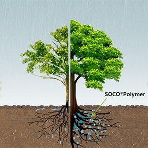 the effects with sap vs without sap the effects with sap vs without sap
