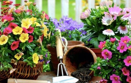 Water retention agent special for horticulture Water retention agent special for horticulture