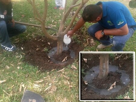 Water retention agent special for Arboriculture Water retention agent special for Arboriculture