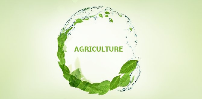 Polímero superabsorbente para la agricultura