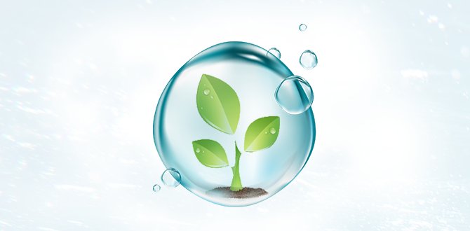 Polímero acrílico agrícola SAP: Dale a tus plantas un mini-depósito