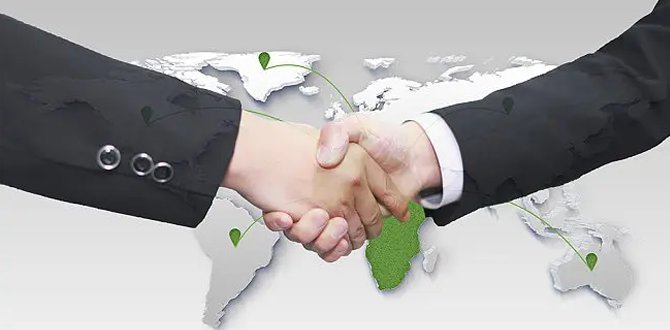 Fabricante de fertilizantes de alta calidad | Fertilizantes ecológicos SOCO