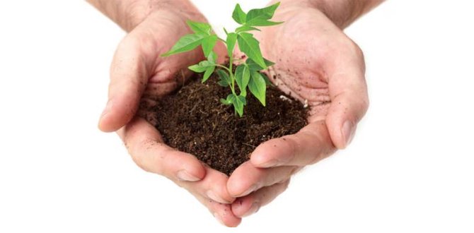 Acondicionador de suelo Humate – SAP Potasio Salva tus plantas