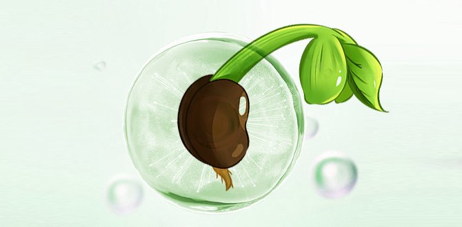 Gel de retención de agua para plantas