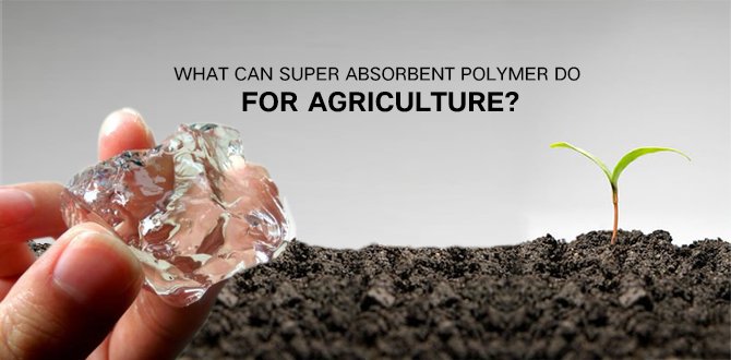 super absorbent polymer used in agriculture
