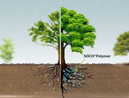 the effects with sap vs without sap
