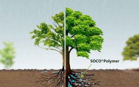 Descargar muestra de SAP para agricultura