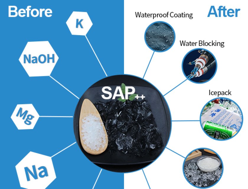 SAP++