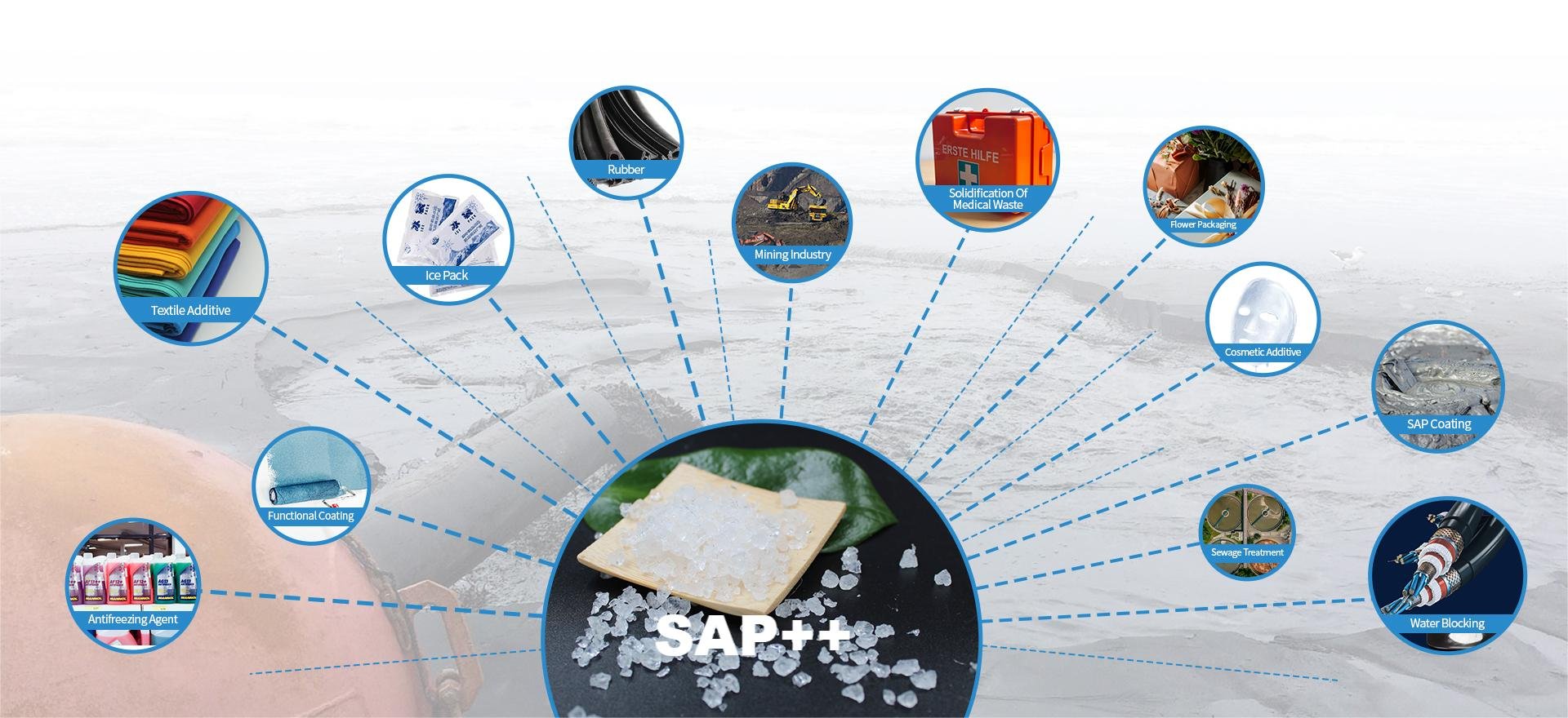 SAP++ applications