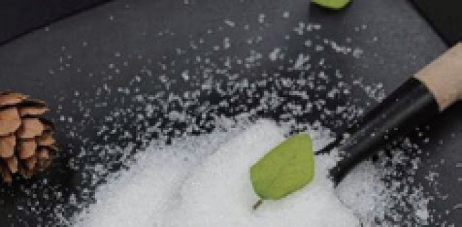 Revolucionando la solidificación de lodos: la superioridad del polímero superabsorbente MACRO SORB® (SAP)