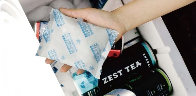 ¿Cuáles son las mejores bolsas de gel refrigerante personalizadas para envíos y cómo funcionan?