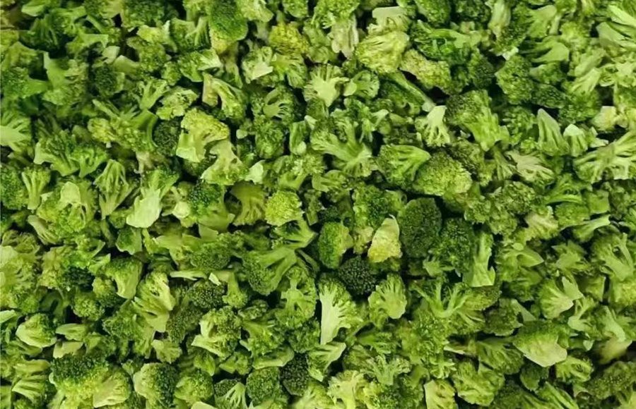 organic freeze dried broccoli organic freeze dried broccoli