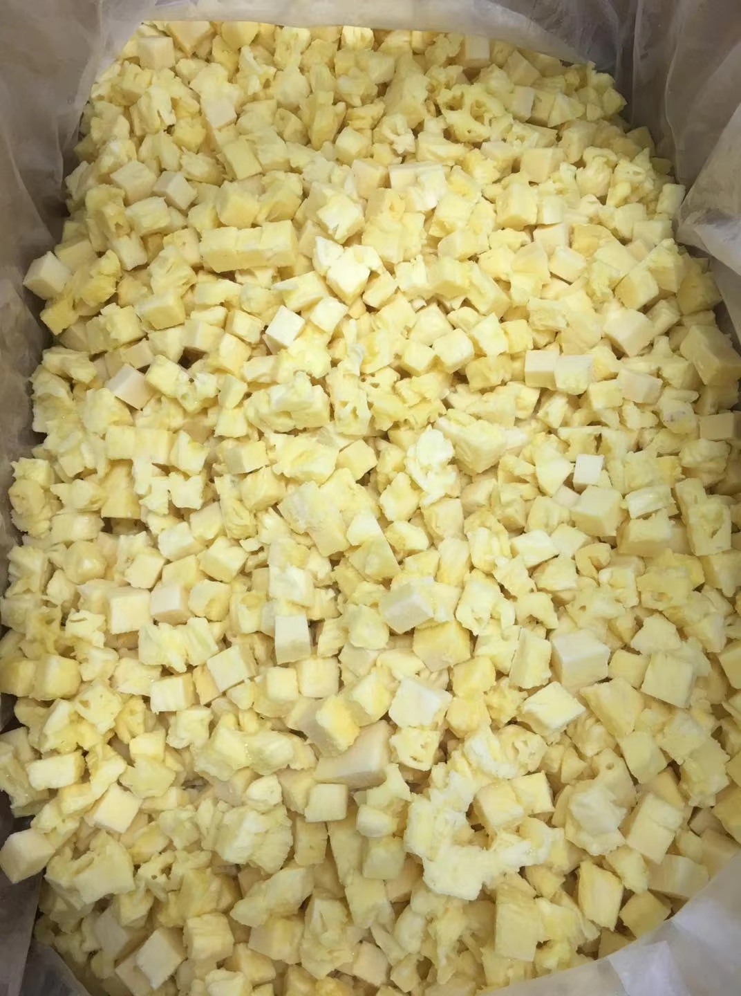 Wholesale Freeze Dried pineapple  Wholesale Freeze Dried pineapple