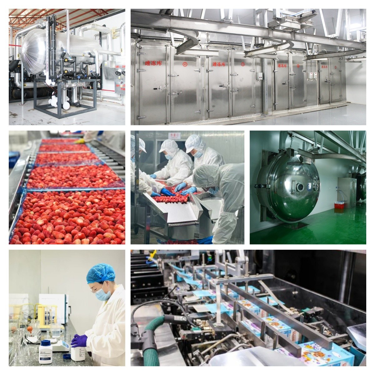 our factory in merrytime our factory in merrytime