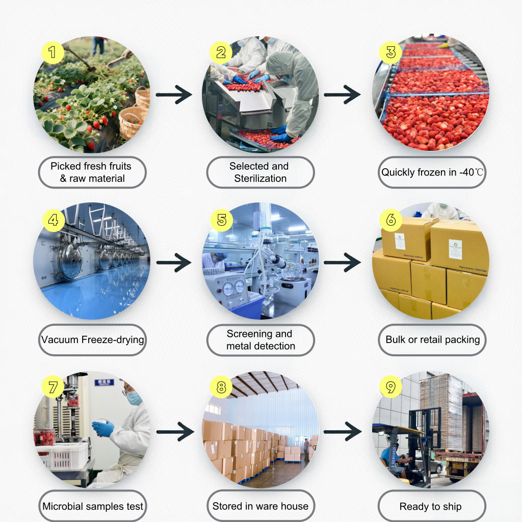 Freeze-drying Process
