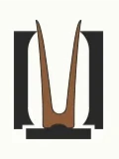 Blank transferred to blow mold