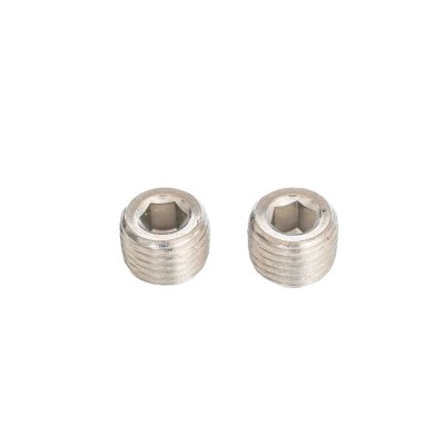 Hexagon socket pipe plugs- Stainless Steel