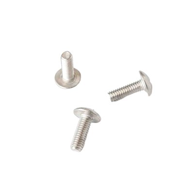Crosss Recessed Mushroom Screws - 304