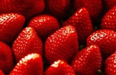 Egyptian now in full swing