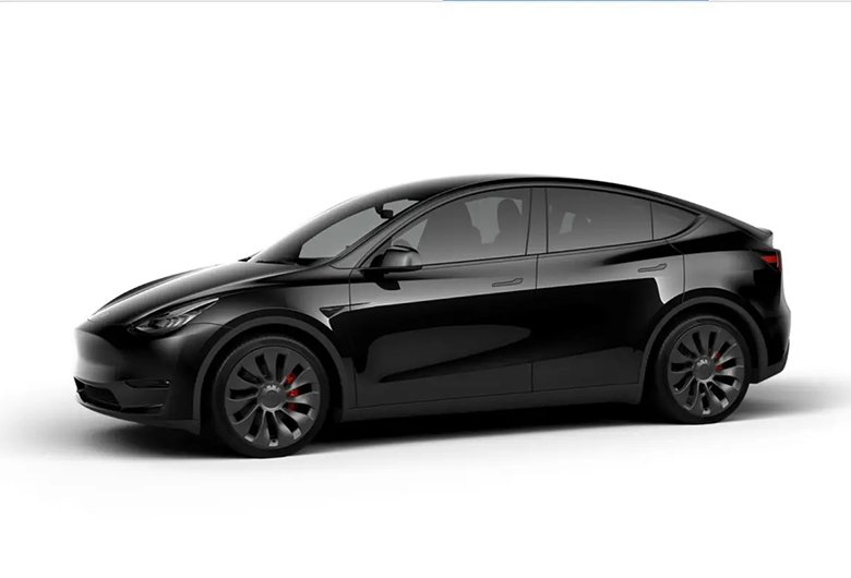 Model Y (1)