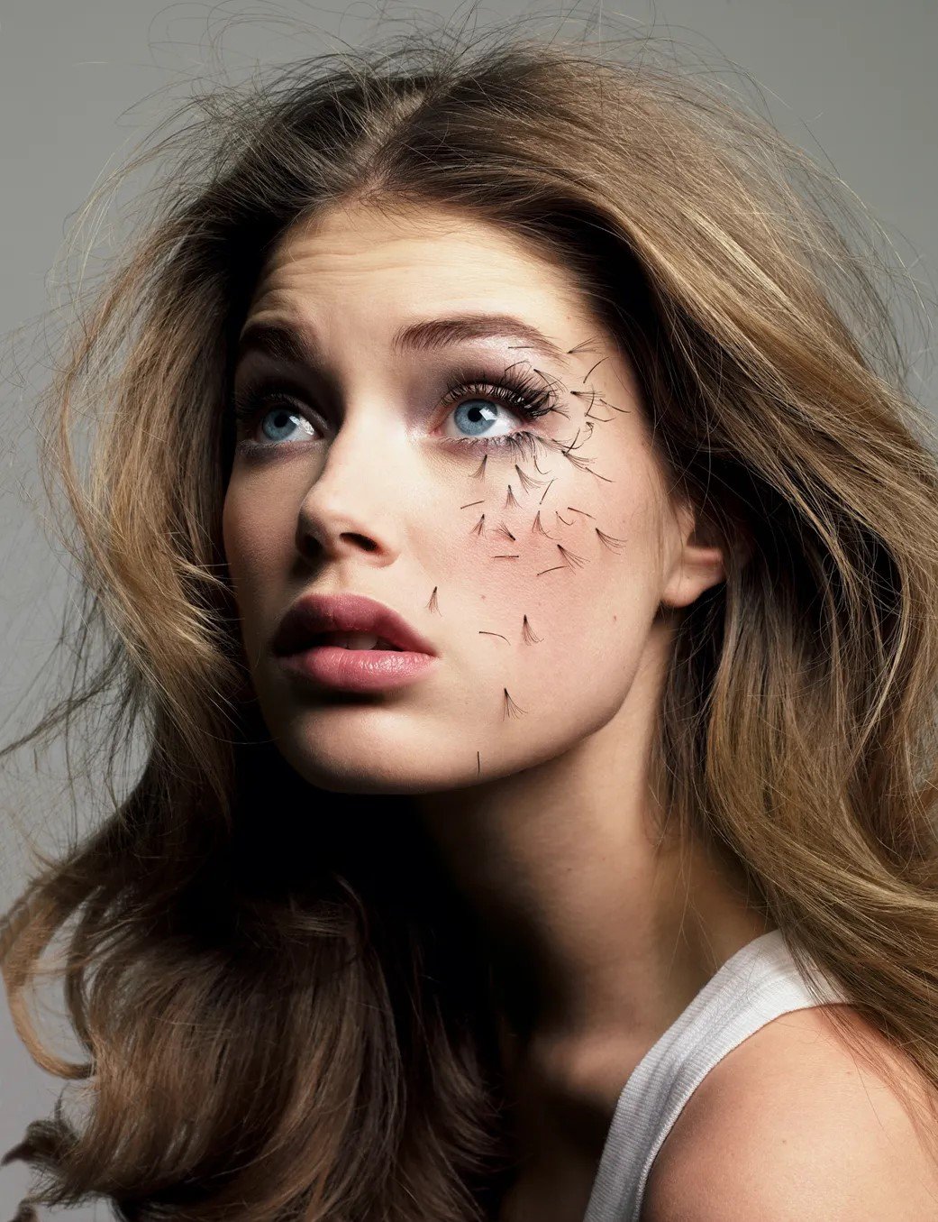 lash-extension-directory