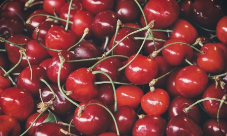 Cherry Production Decline Causes Concern in Global Market