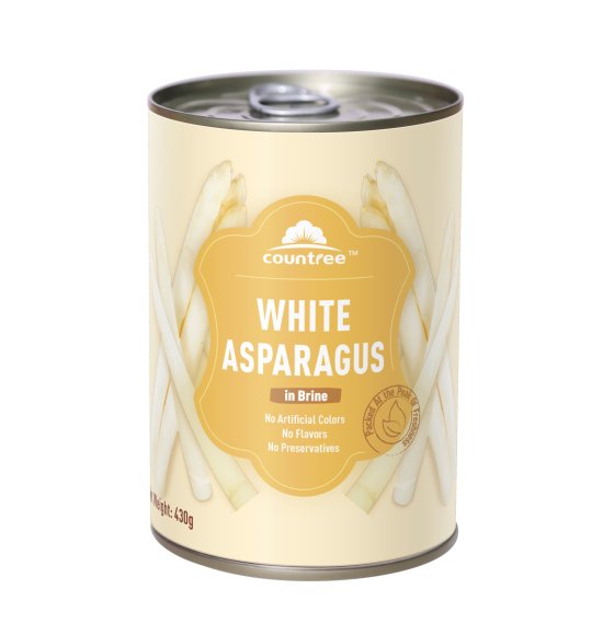 Canned White Asparagus Spears 15OZ Wholesale Price Countree Food