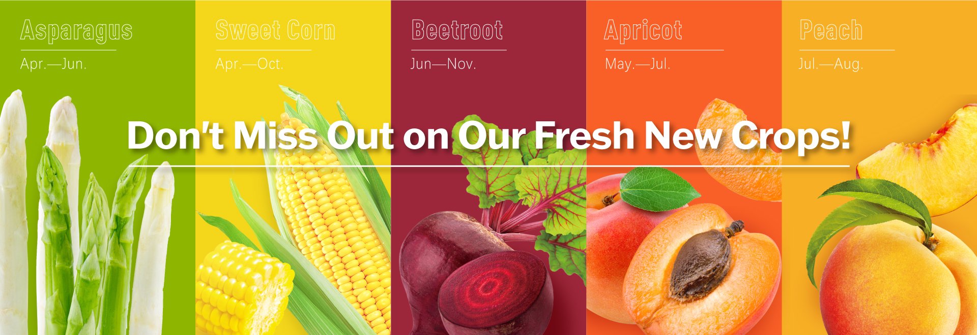 Don't Miss Out on Our Fresh New Crops!  