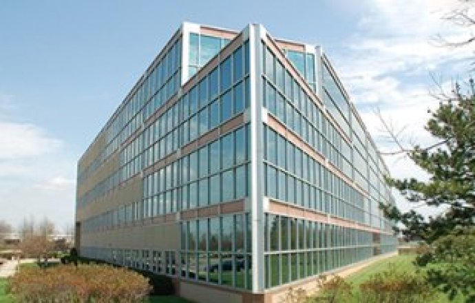 COUNTREE USA LLC