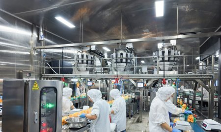 Inside a Canned Fruit Manufacturing Process: From Fresh Produce to Finished Cans