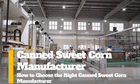 How to Choose the Right Canned Sweet Corn Manufacturer