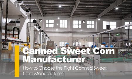 How to Choose the Right Canned Sweet Corn Manufacturer