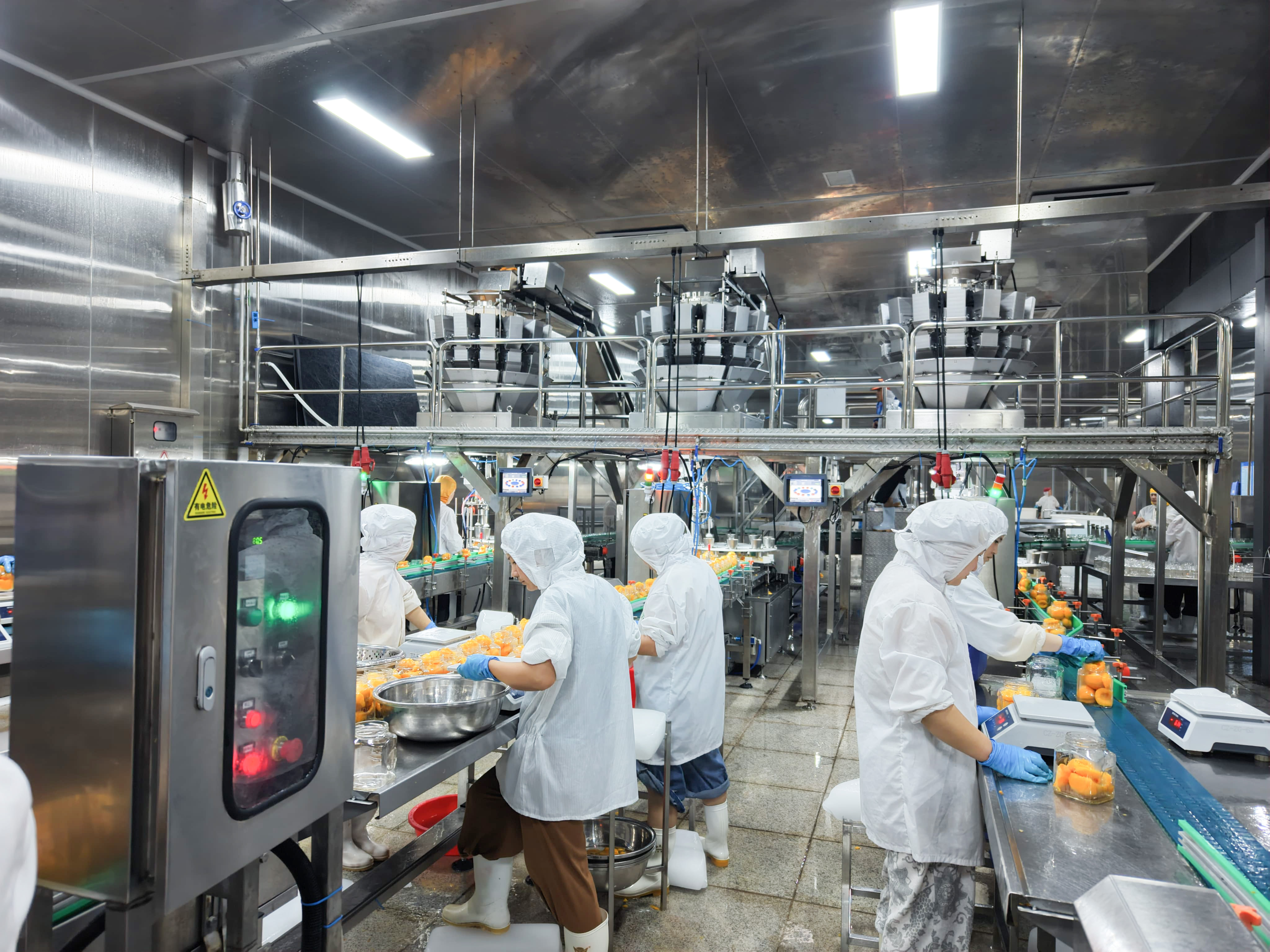 Inside a Canned Fruit Manufacturing Process: From Fresh Produce to Finished Cans