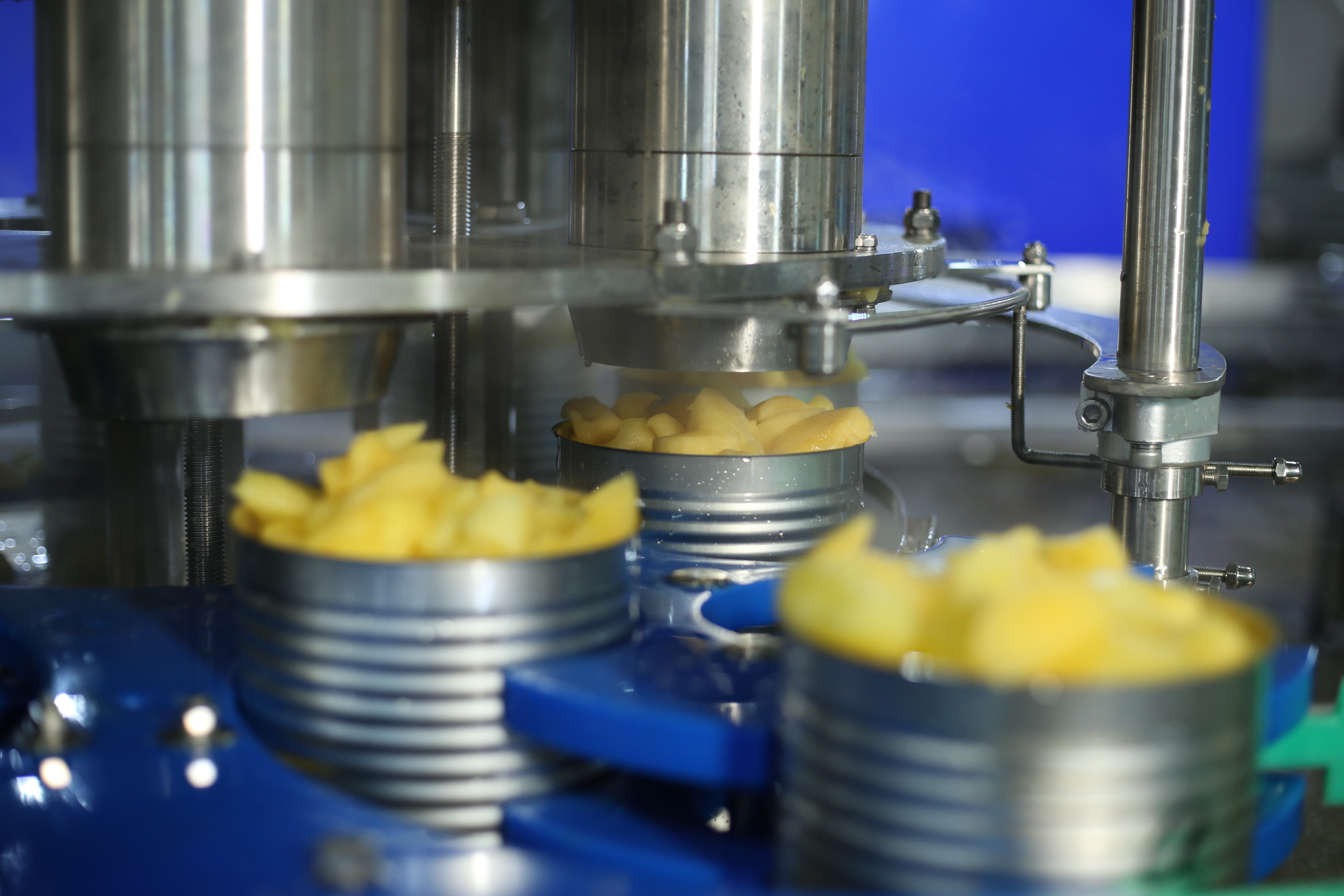 Canned Peach Halves Quotes: What Buyers Need to Confirm Before Ordering