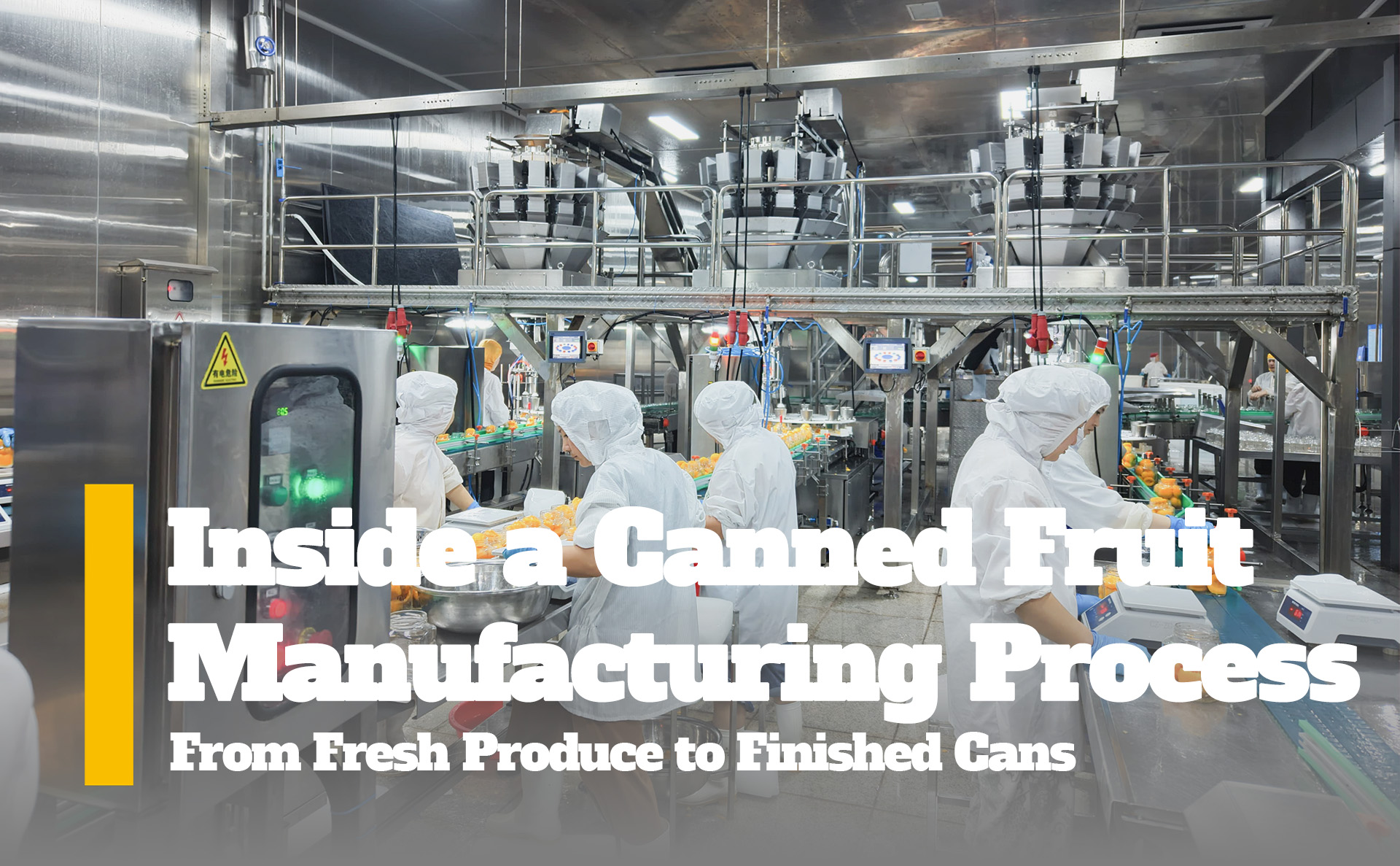 Inside a Canned Fruit Manufacturing Process: From Fresh Produce to Finished Cans