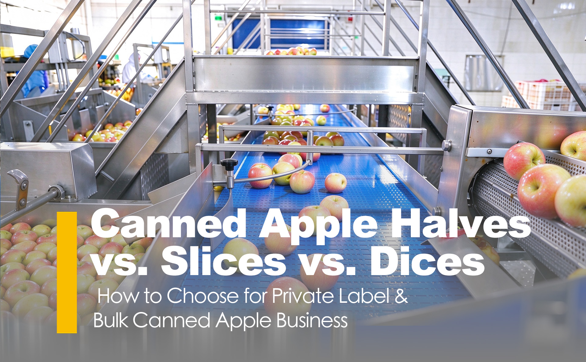 Canned Apple Halves vs. Slices vs. Dices: How to Choose for Private Label & Bulk Canned Apple Business