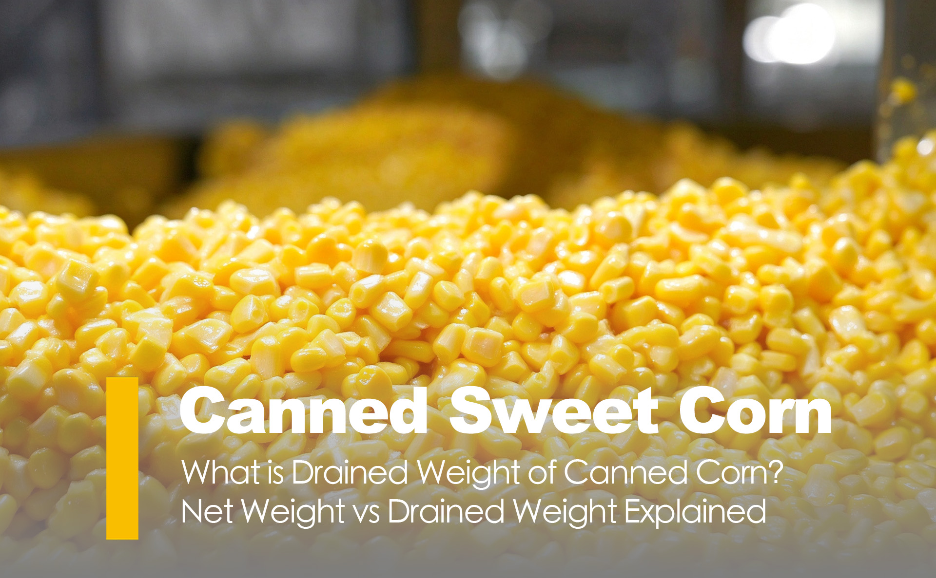 What is Drained Weight of Canned Corn? Net Weight vs Drained Weight Explained